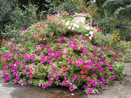 満開のお花のお山