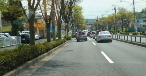 霊園の周辺です。